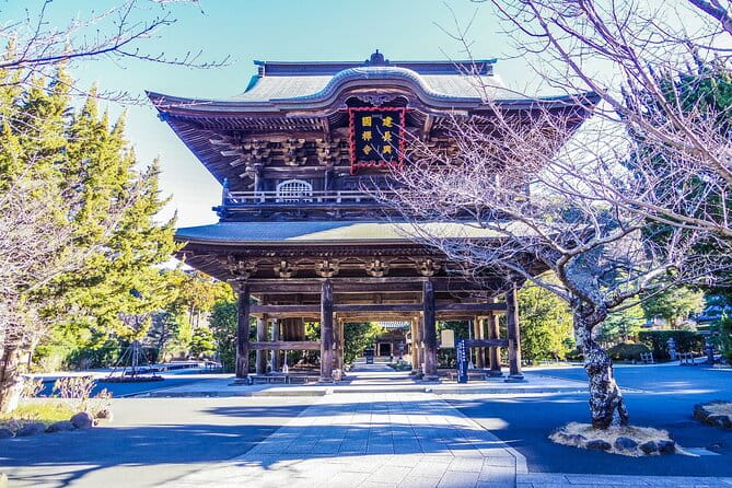 Kamakura Private Guided Tour With Traditional Experiences - Japanese Tea Tasting Experience
