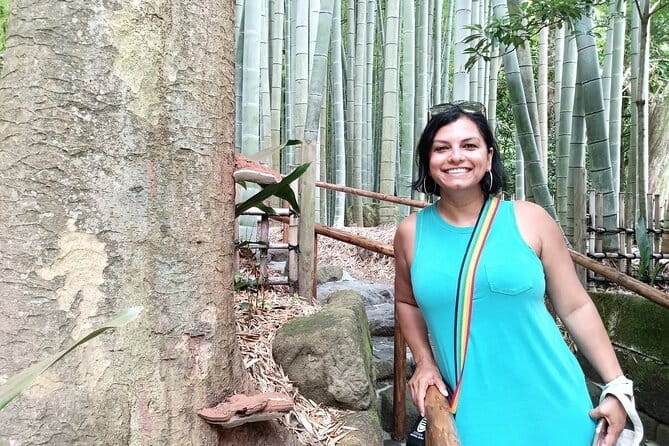 Kamakura Private Tour From Yokohama With Guide and Vehicle - Accessibility Features of the Tour