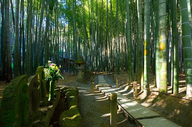 Kamakura Tour From Tokyo With Pro Guide & Driver - Explore the Iconic Kotoku-in Temple