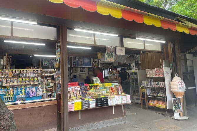 Kamakura: Visit Great Buddha and Shopping Experience - Key Points