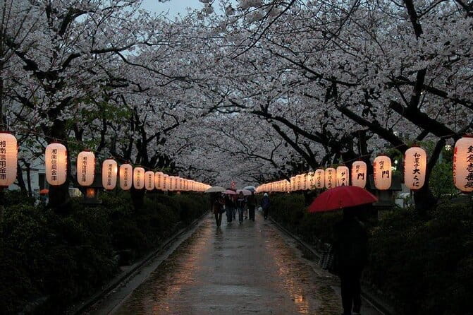 Kamakura & Yokohama One-Day Tour With English Driver - Meeting and Pickup