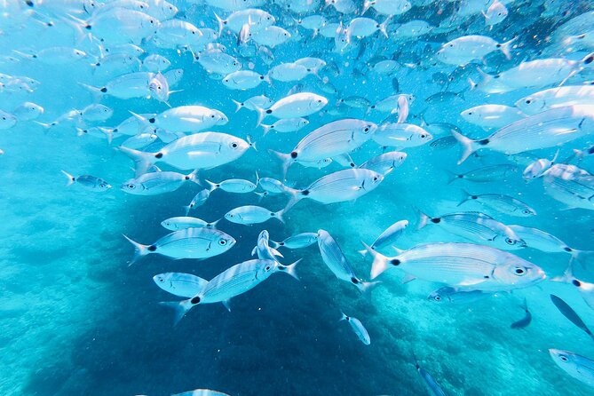 Kamenjak Boat Tour From Medulin With Sandra Boat - Meeting and Pickup Details