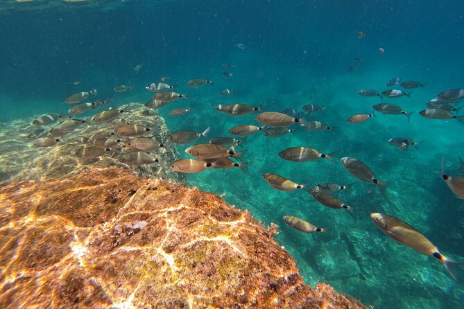 Kamenjak Nature Park: Kayak Tour With Snorkeling & Cave Exploring - Tour Highlights