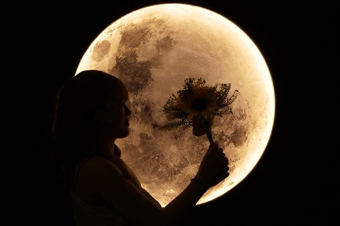 Kanazawa: Rental Kimono Selfie Photo Experience - What to Expect