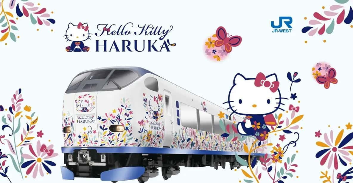 Kansai-Airport Express HARUKA One-way Ticket - Highlights of the Experience
