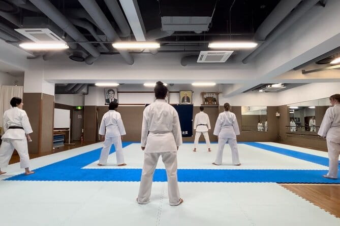 Karate Experience With the Shotokan Karate-Do Instructor - Karate Techniques and Training