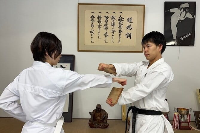 Karate Experience With the Shotokan Karate-Do Instructor - Instructor Demonstration and Board Splitting