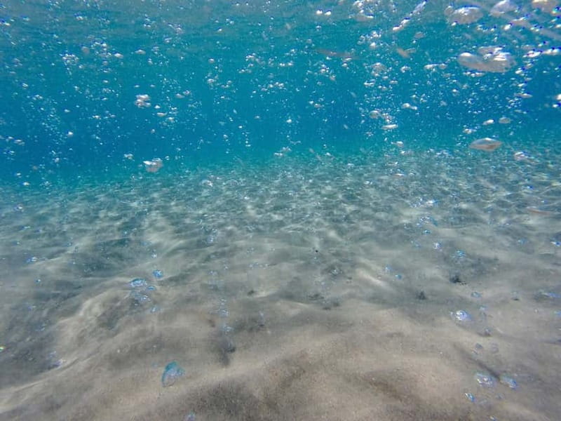 Kardamaina: Pirate Boat Cruise to 3 Bays with BBQ Lunch - Introduction: A Colorful Day at Sea in Kos