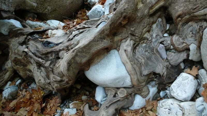 Kardamili : Hiking in Ridomo gorge - Key Points / Takeaways