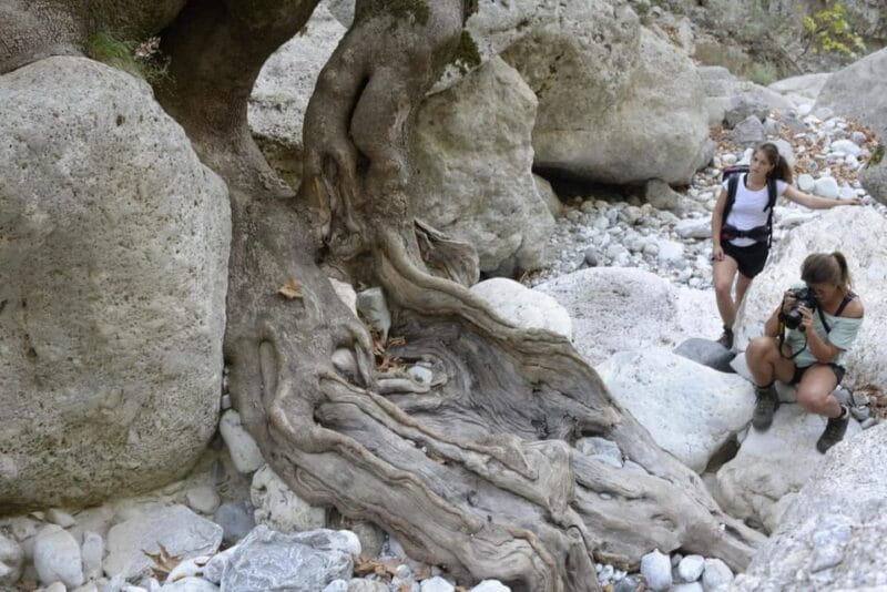 Kardamili : Hiking in Ridomo gorge - FAQ About Hiking in Ridomo Gorge