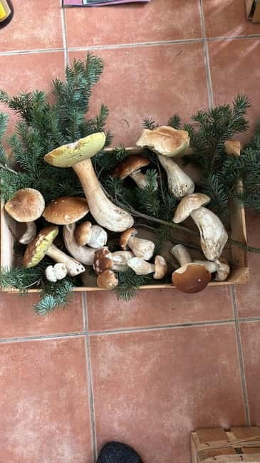 Karlsruhe: Local Cuisine Dinner with a Local Host - Why This Experience Offers Real Value