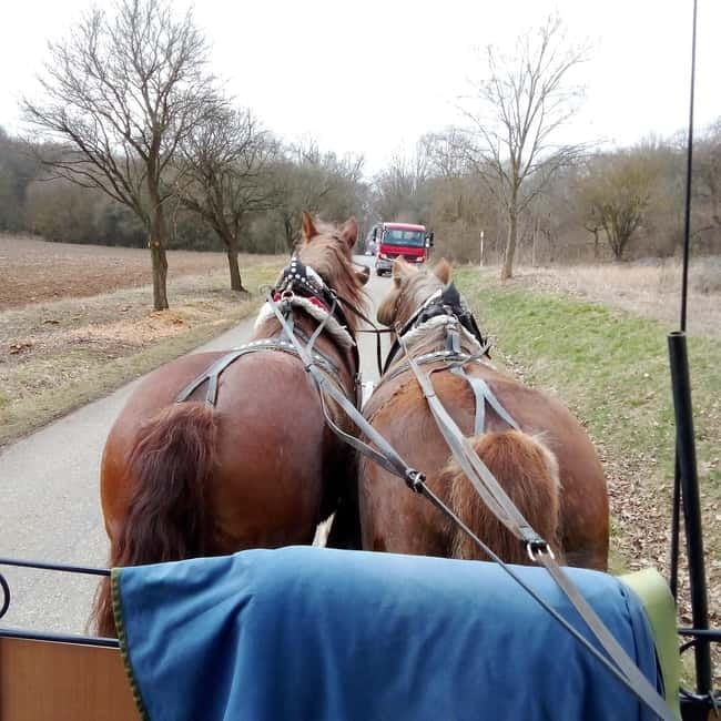 Karltejn and Big America quarry horse carriage tour - Who Will Love This Experience?