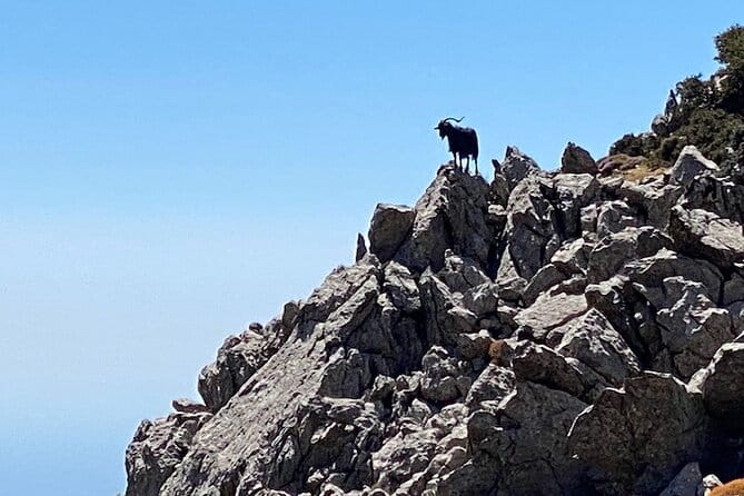 Karpathos Kali Limni Hike to the highest peak of the Dodecanese - The Value of the Experience: Is it Worth It?