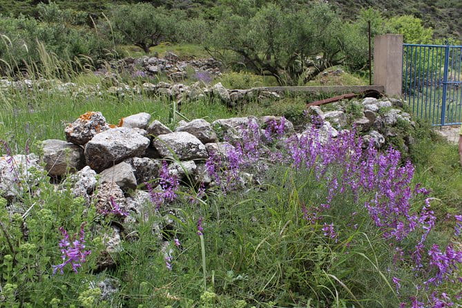 Karpathos Pini to Stes Mountain Village Guided Hike - Final Thoughts: Who Will Love This Experience?