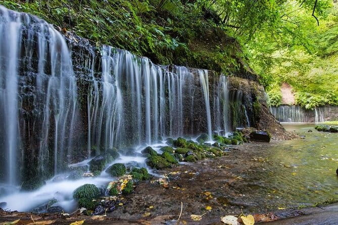 Karuizawa Half-Day Private Trip With Government-Licensed Guide - Curated Experiences: From Natural Wonders to Historic Retreats