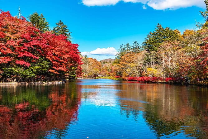 Karuizawa, Kawagoe and Hashino Resort Shrine Day Tour From Tokyo - Key Points