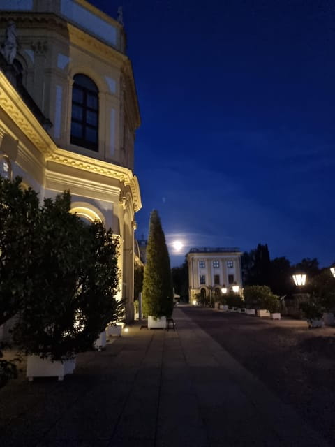 Kassel: Kassel's lost city by night - Price and Overall Value