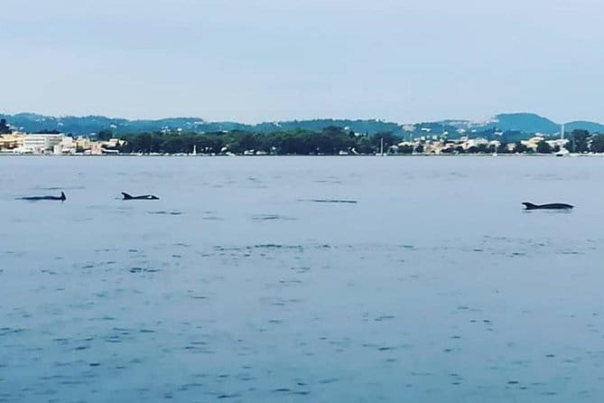 Kassiopi Private Daily Sailing Yacht Cruise - FAQs