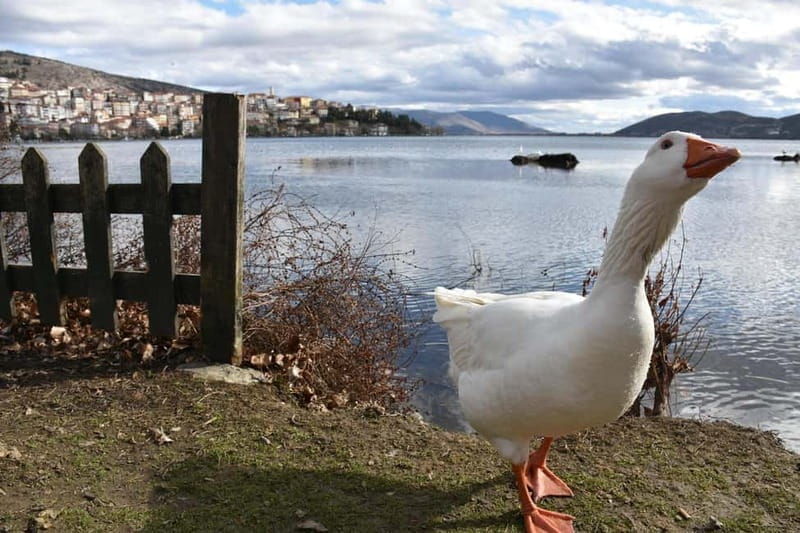 Kastoria: Private Guided City Tour - FAQ