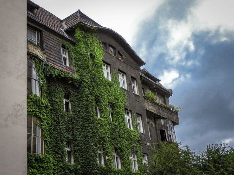 Katowice: Express Walk with a Local in 60 minutes - Who Should Book This Tour?