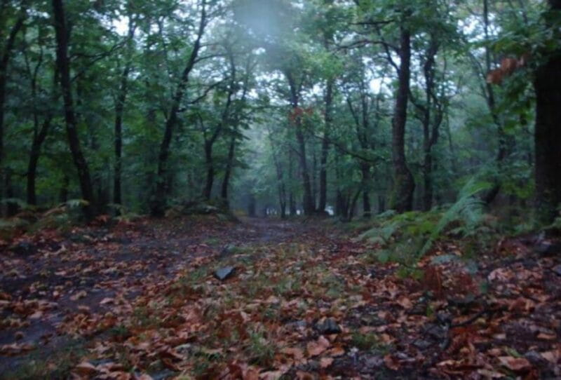 Kavala: FunDay Private Tour - FAQ