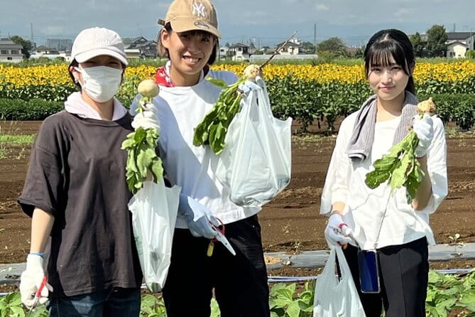 Kawagoe Sightseeing and Experience Tour to Harvest Local Foods - Booking and Cancellation Policy