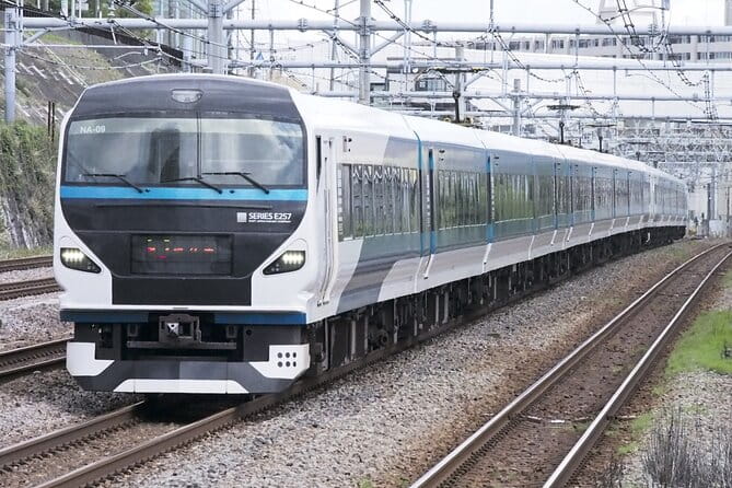 Kawazu Cherry Blossom Sightseeing Tour - Meeting and Pickup