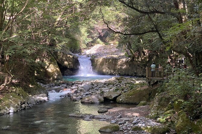 Kawazu Seven Falls Guided Tour - Meeting and Pickup Information