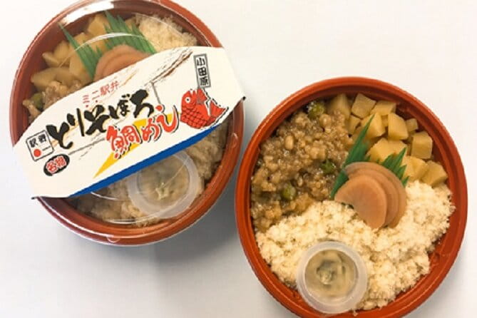 Kawazu-zakura Cherry Blossom Festival & Fruit Picking - Key Points