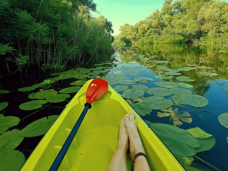 Kayak Adventure: Paddle your way through Lake Skadar - Key points / Takeaways