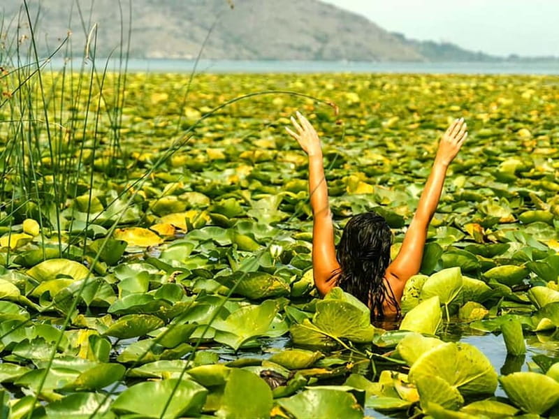 Kayak Adventure: Paddle your way through Lake Skadar - Who is This Experience Best For?