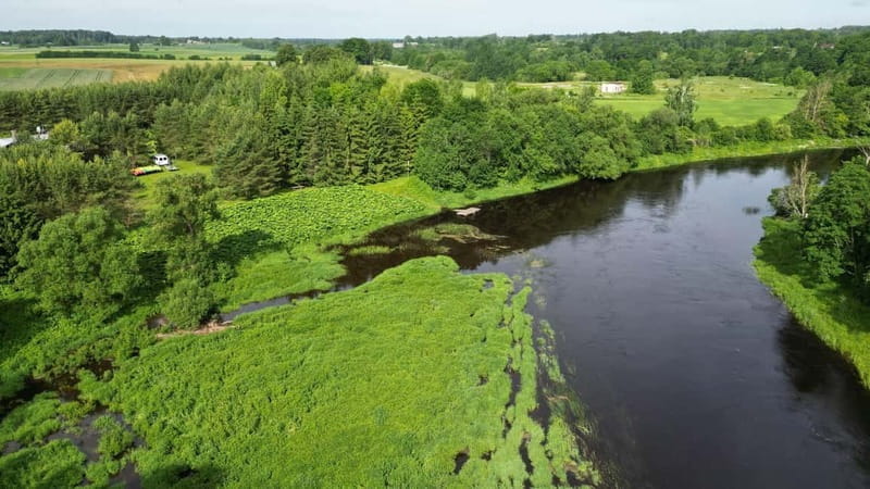 Kayak at the Latvian-Lithuanian border, biggest inland dune - Why This Kayaking Trip Stands Out