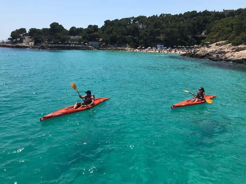 Kayak Excursion - FAQs