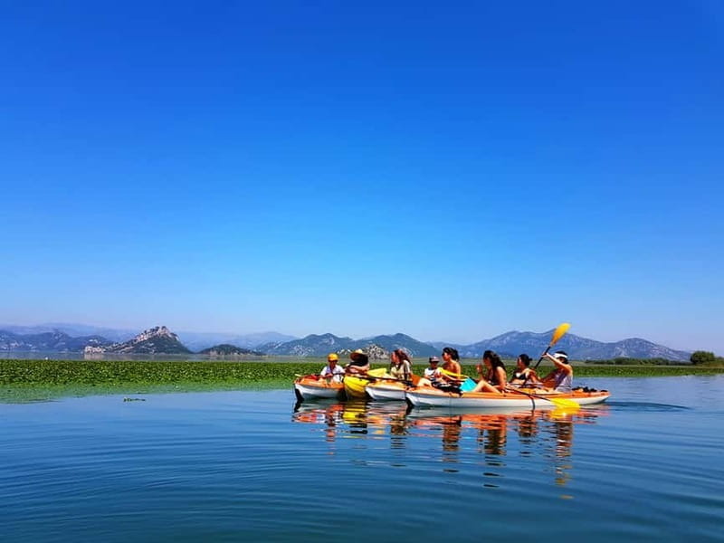 Kayak Guided Tour Skadar lake - Adventure in National park - Key Points / Takeaways
