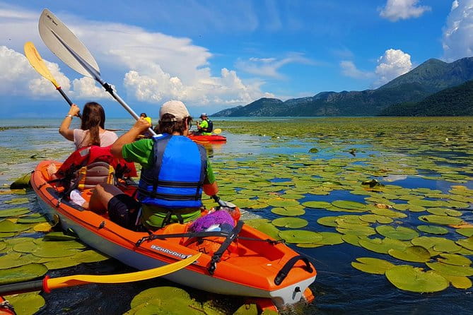 Kayak Guided Tour Skadar lake - Adventure in National park - Exploring Skadar Lake: A Deep Dive into the Experience