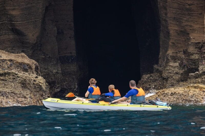 Kayak Guided Tour: Vila Franca do Campo Islet - Returning & Wrap-up