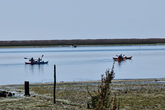 Kayak Rental in Praia dos Cavacos - FAQ