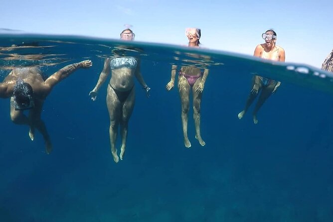 Kayak Safari With Dolphin and Turtle Watching in Guaza - Meeting Point and Return Location