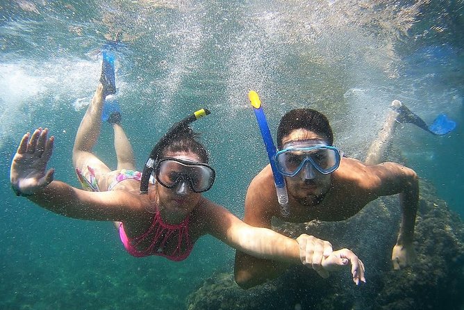 Kayak & Snorkel Tour in Cerro Gordo Natural Park, La Herradura - Snorkeling Stops Along the Way
