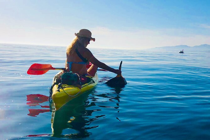 Kayak & Snorkel Tour in Cerro Gordo Natural Park, La Herradura - Cancellation Policy and Meeting Point