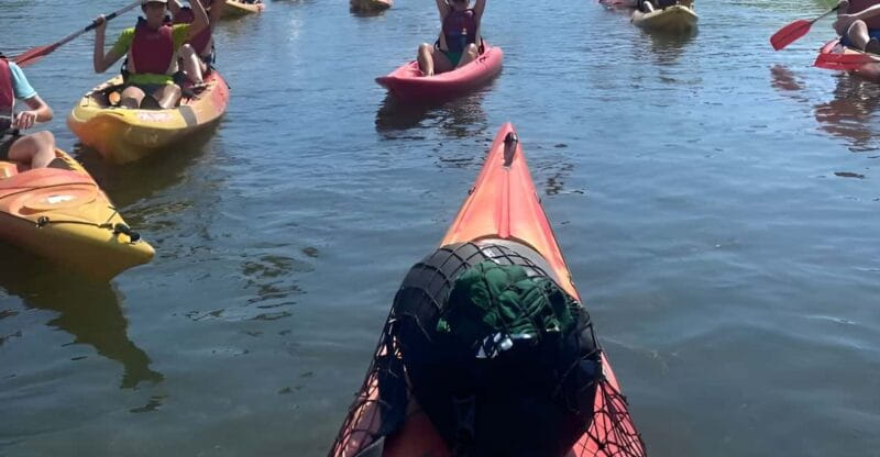 Kayak tour and Wine tasting at the Ebro river - Key Points and Takeaways