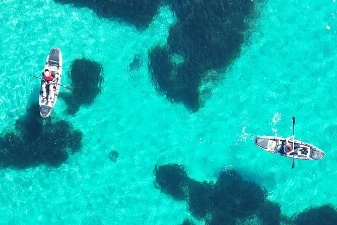 Kayak Tour in Golfo Aranci With Aperitif and Dolphin Watching - Inclusions and Equipment