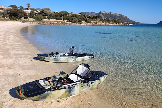 Kayak Tour in Golfo Aranci With Aperitif and Dolphin Watching - Health and Safety Guidelines