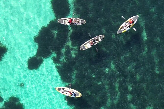 Kayak Tour in Golfo Aranci With Aperitif and Dolphin Watching - Additional Information