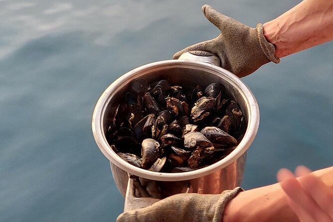 Kayaking and Mussels Tasting at Krka River Estuary-Private Tours - Meeting and Pickup Information