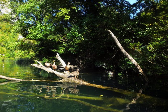 Kayaking and Snorkeling in Omi - Key Points