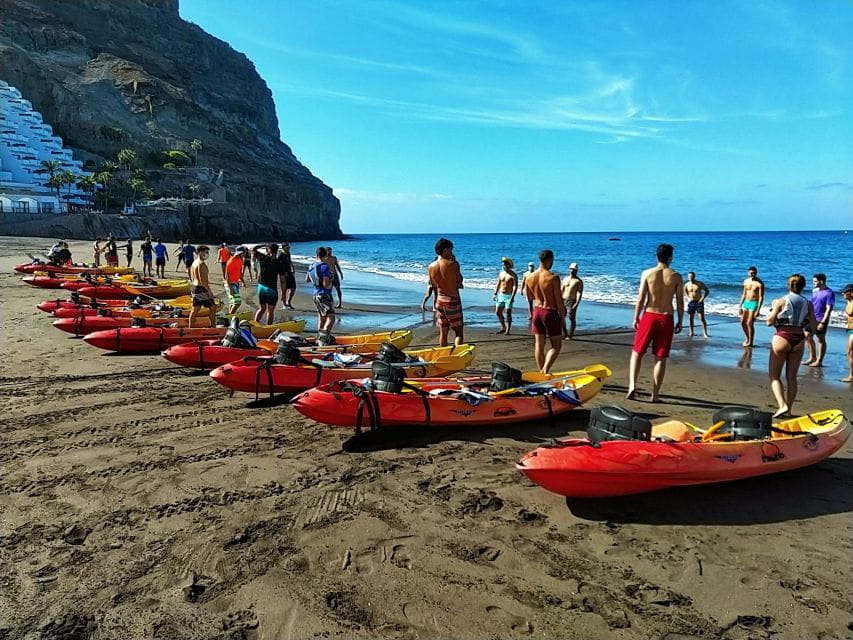 Kayaking Through the Caves and Cliffs of Mogan - Highlights of the Experience