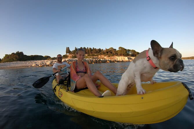 Kayaking to Island Saint Jerolim with snorkeling activitie - An In-Depth Look at the Tour Experience