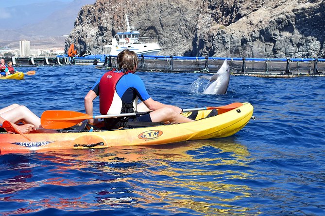 Kayaking With Dolphins and Turtles and Snorkelling in Tenerife - Accessibility and Weight Limit