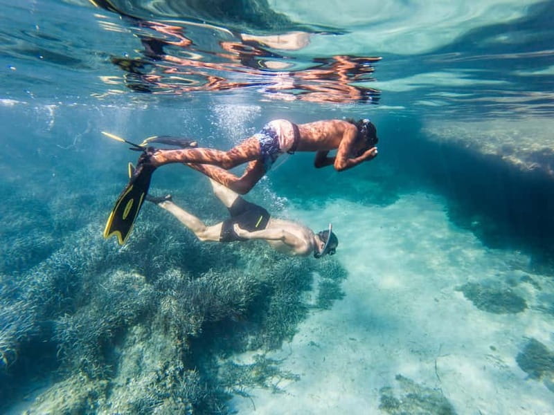 Kayak&Snorkel Tour - The Secret of the Posidonia - Key Points / Takeaways